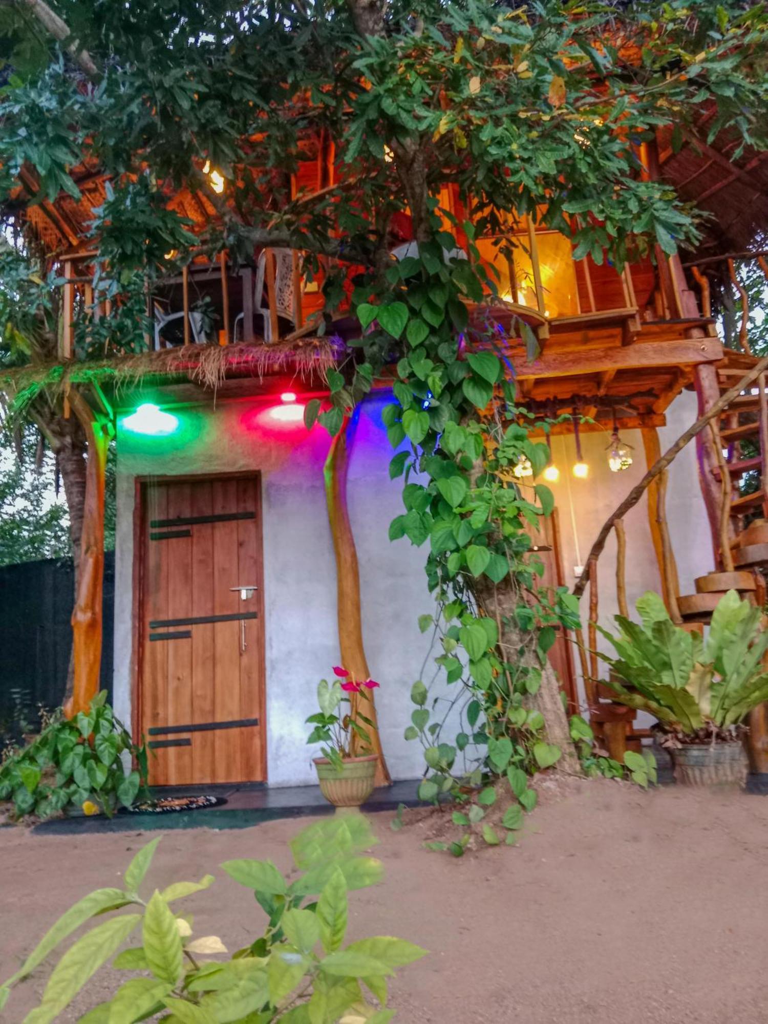 The Banda' Eco Villa Sigiriya Ngoại thất bức ảnh